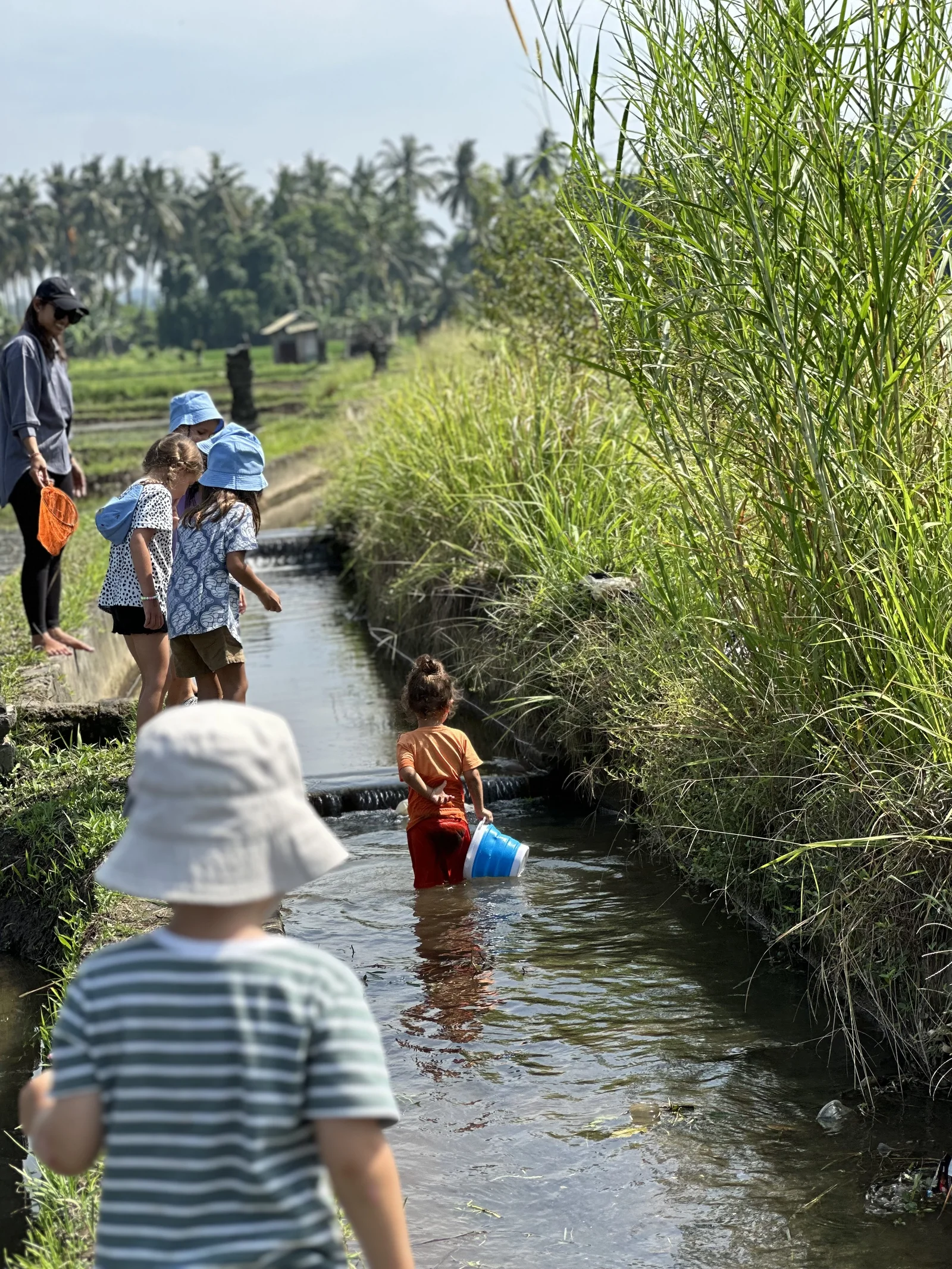 Sunny Kids Moment 93